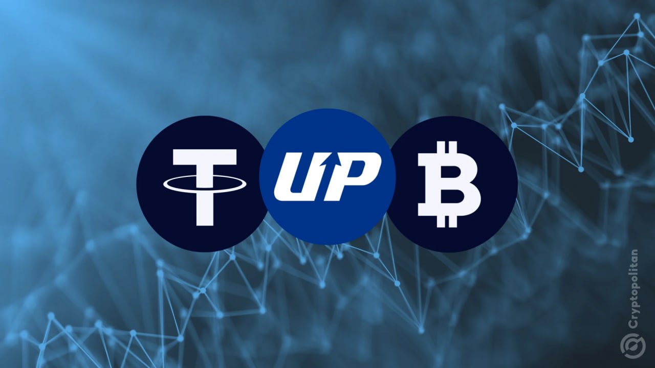 Upbit Feature